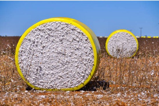 Cotton bales